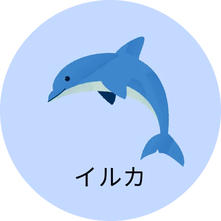 イルカ