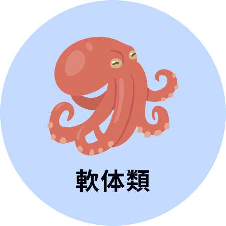 軟体類
