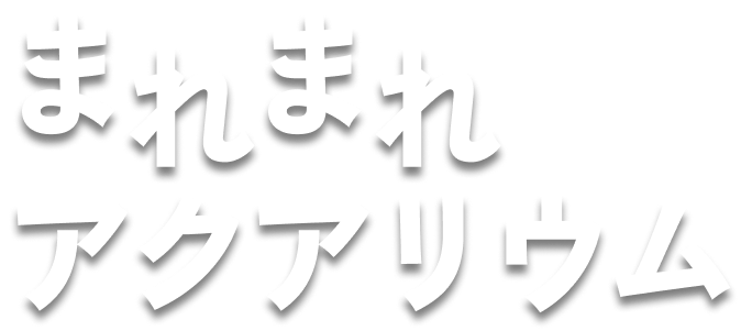 まれまれアクアリウム