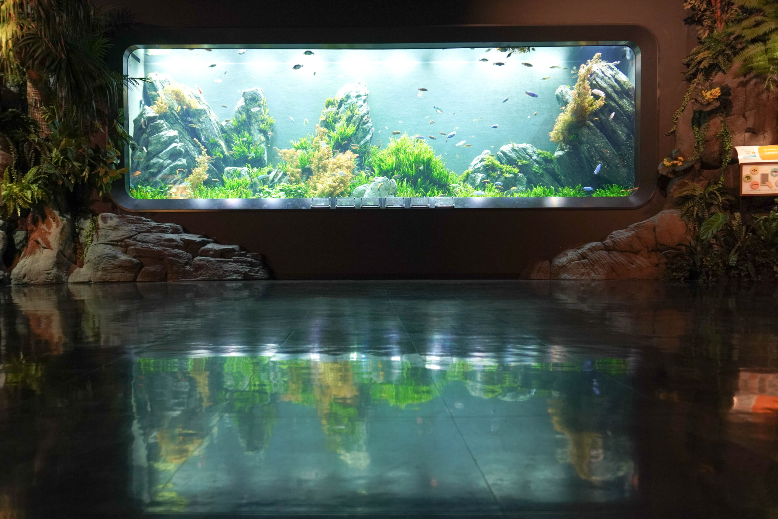 DMM水族館-43